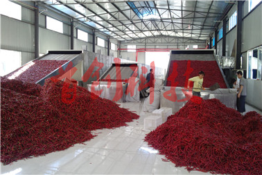 1497665836745138.jpg 2013-08-26_10-29-05_828.jpg