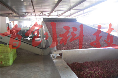 1504229338417924.jpg 玫瑰花烘干.jpg