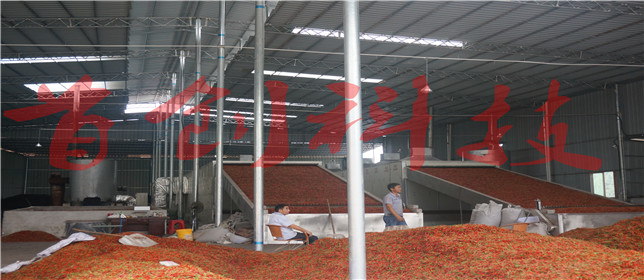 1504489434491293.jpg DSC05646.jpg