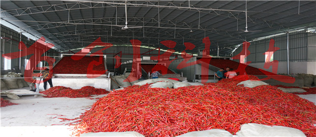 1504515143104795.jpg DSC05471.jpg