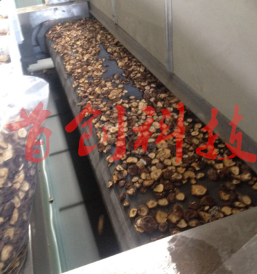 1505890303105294.png R3VXDGKT4E1[C@1XOI5JSC1 - 副本.png