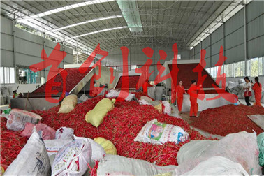 1516173096938867.jpg 微信圖片_20171122113956.jpg