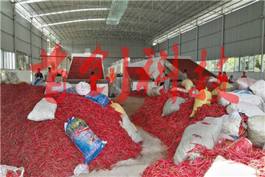 1527232643521286.jpg 微信圖片_20171122114010.jpg