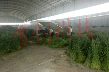 1555048503470529.jpg 751302830586336280_副本.jpg