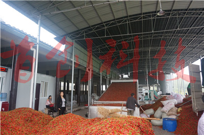 1559785603918589.jpg DSC05679.jpg