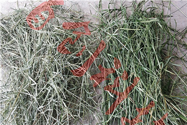 1566441295473202.jpg QQ圖片20180730102908.jpg