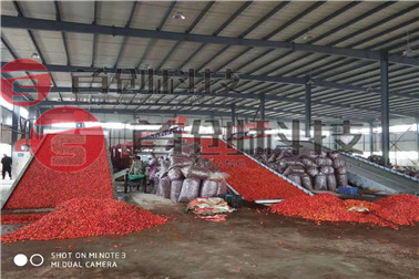 1652334150795466.jpg mtxx424.jpg