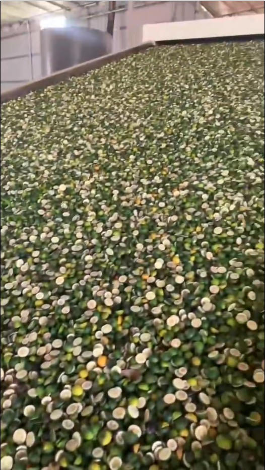 枳殼烘干設備.jpg 枳殼烘干設備.jpg