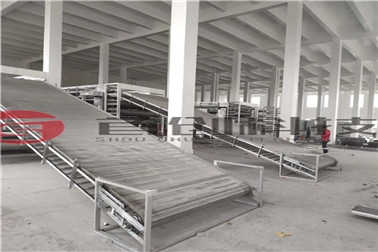 1664353025180657.jpg mtxx213.jpg