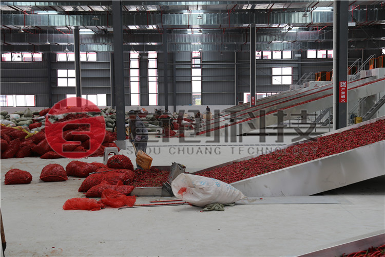 工業(yè)辣椒加工生產(chǎn)線(xiàn).jpg 工業(yè)辣椒加工生產(chǎn)線(xiàn).jpg