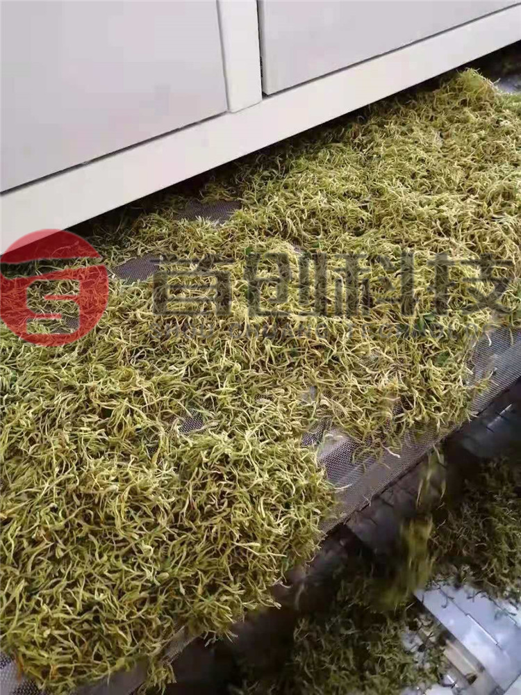 網(wǎng)帶式金銀花烘干機.jpg 網(wǎng)帶式金銀花烘干機.jpg