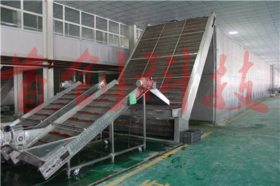 1667194300793570.jpg IMG_7953.jpg