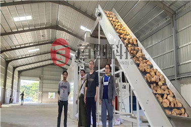 1667464030335861.jpg 魔芋_副本1_副本.jpg