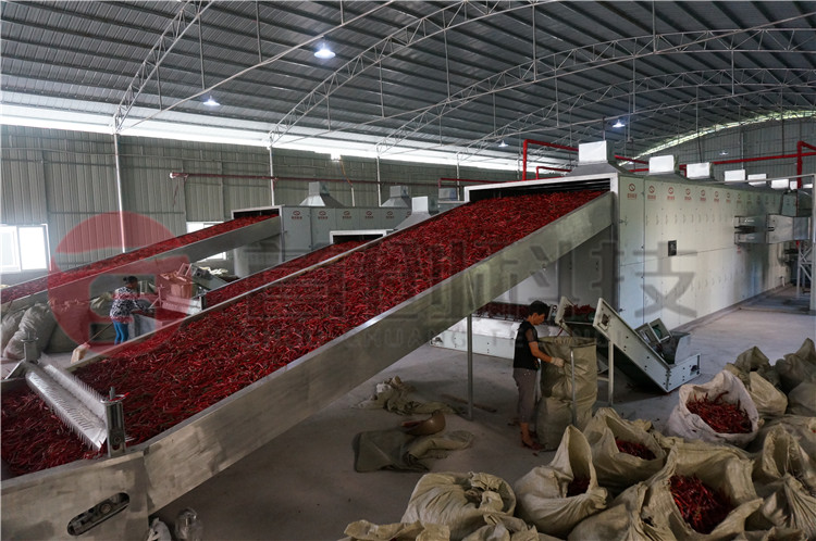 朝天椒烘干設備.jpg 朝天椒烘干設備.jpg