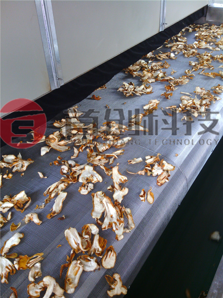 網(wǎng)帶式佛手片烘干機出料口.jpg 網(wǎng)帶式佛手片烘干機出料口.jpg