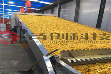 1673512177519578.jpg mtxx205.jpg