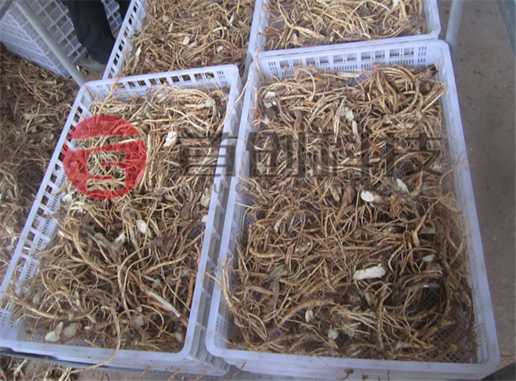 食用菌烘干機價(jià)格.png 食用菌烘干機價(jià)格.png