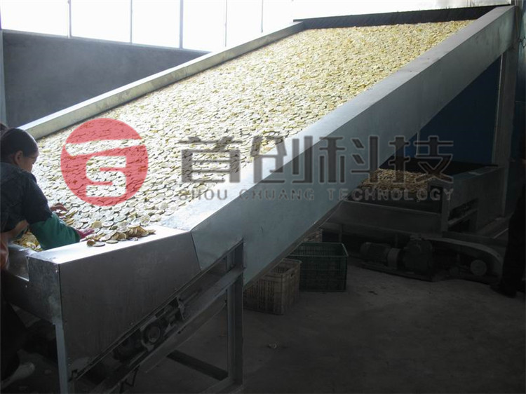 檸檬片烘干設備廠(chǎng)家.jpg