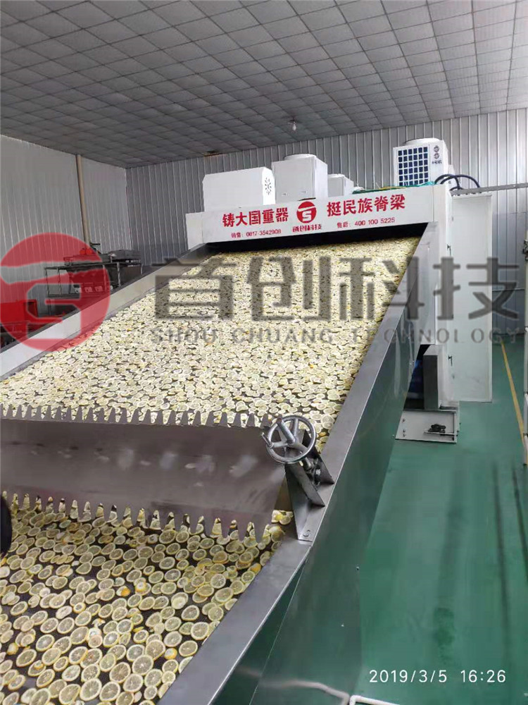 網(wǎng)帶檸檬片加工設備.jpg