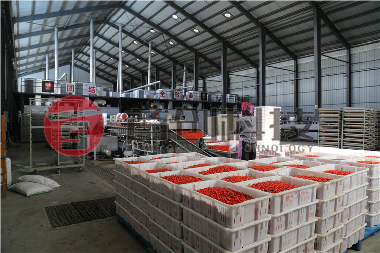 枸杞烘干設備.jpg 枸杞烘干設備.jpg