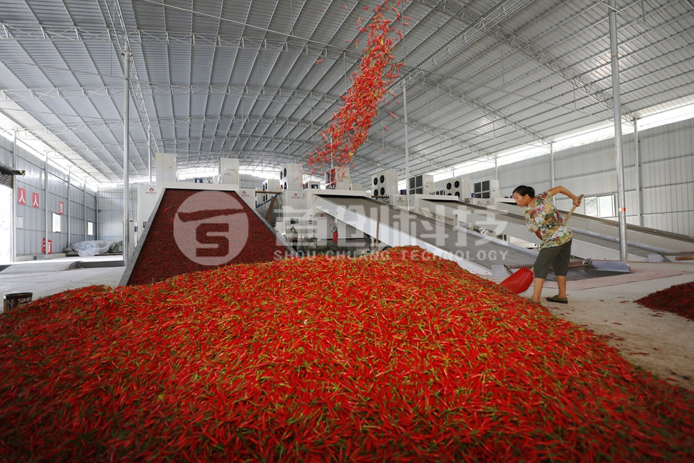 辣椒烘干生產(chǎn)線(xiàn)設備.jpg 辣椒烘干生產(chǎn)線(xiàn)設備.jpg