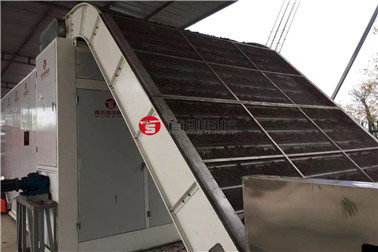 茶籽烘干機多少錢(qián) 茶籽烘干機多少錢(qián)