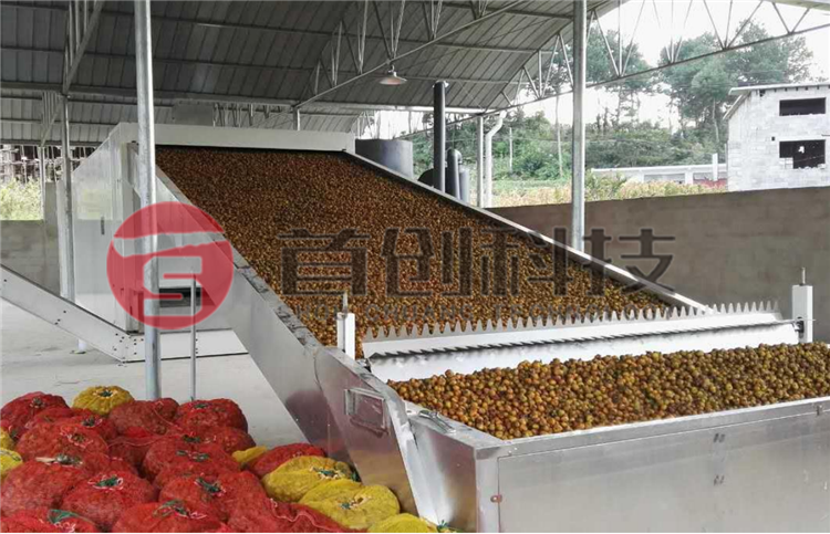 大型桔梗烘干設備哪家好.png 大型桔梗烘干設備哪家好.png