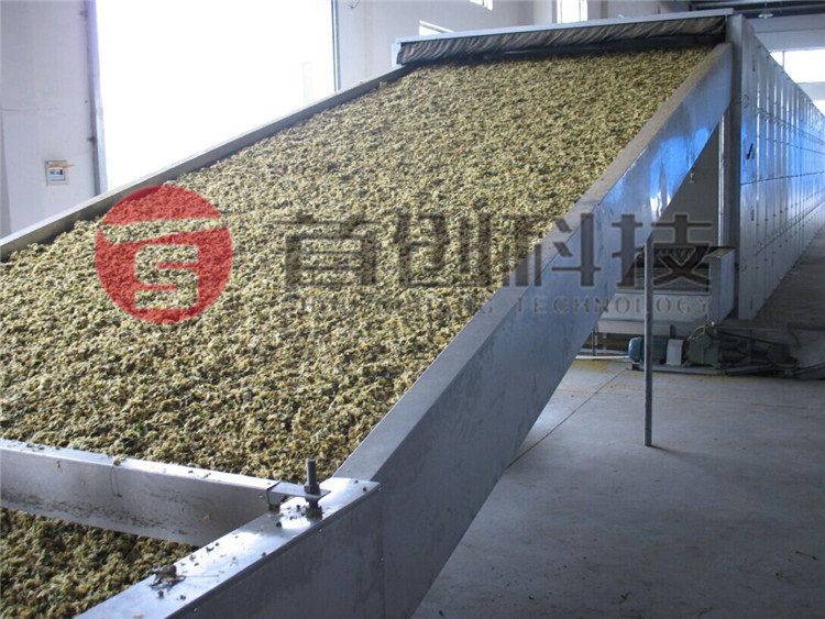 野菊花熱風(fēng)干燥設備.jpg 野菊花熱風(fēng)干燥設備.jpg