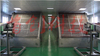 紅棗烘干設備 紅棗烘干設備