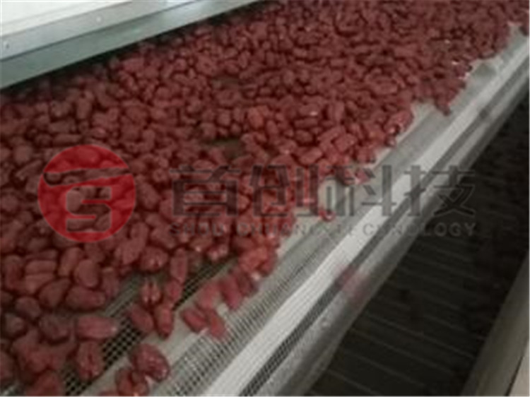 網(wǎng)帶式紅棗干燥機.jpg 網(wǎng)帶式紅棗干燥機.jpg