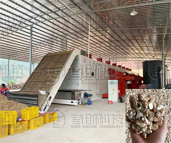 網(wǎng)帶式山柰烘干機.png 網(wǎng)帶式山柰烘干機.png