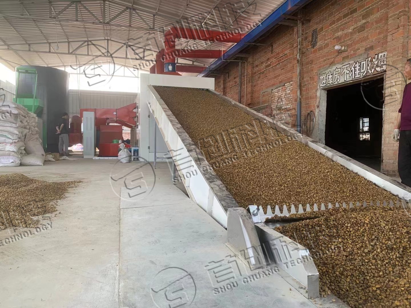 網(wǎng)帶式白芷干燥機.jpg 網(wǎng)帶式白芷干燥機.jpg