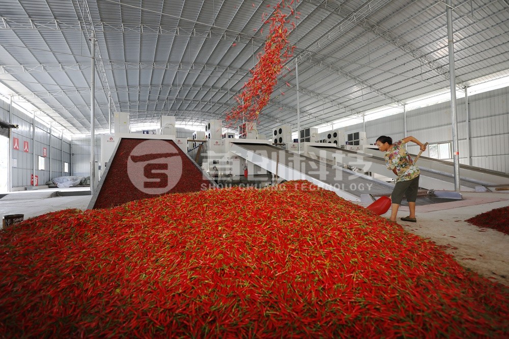 鮮辣椒烘干定制生產(chǎn)線(xiàn)設備.jpg 鮮辣椒烘干定制生產(chǎn)線(xiàn)設備.jpg