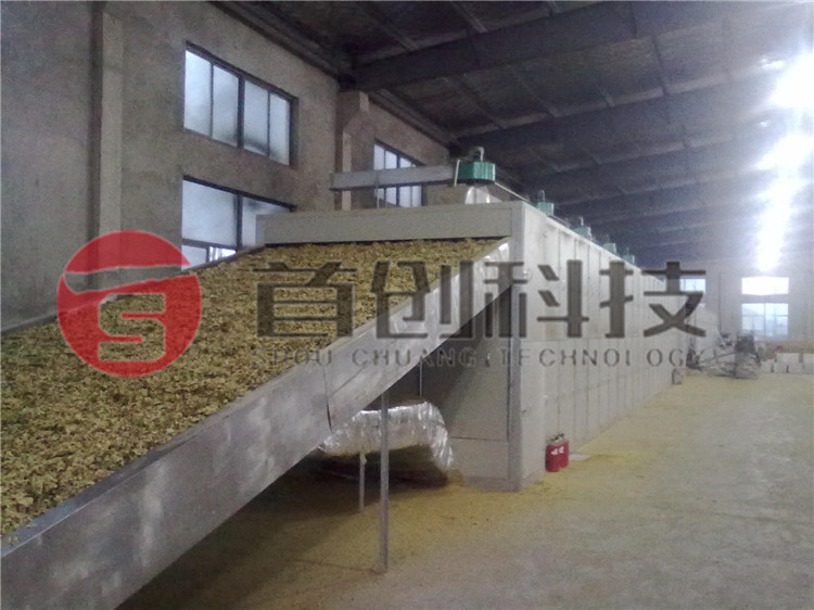 網(wǎng)帶式菊花干燥設備.jpg 網(wǎng)帶式菊花干燥設備.jpg