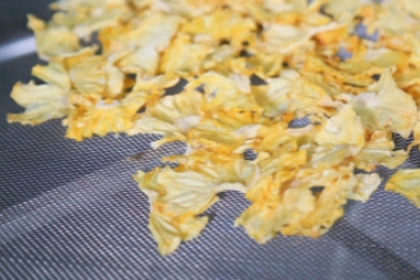 1721205025470881.jpg 菠蘿片_副本.jpg