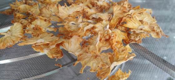 1721205126362827.jpg 微信圖片_20240717083525_副本.jpg